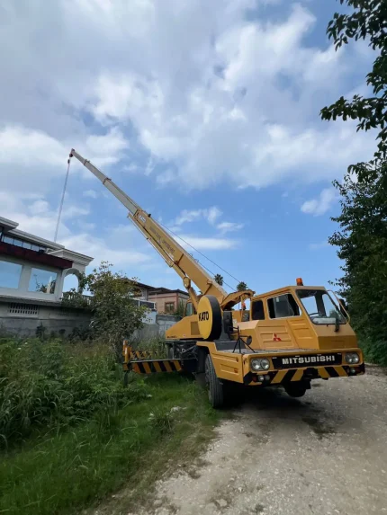 اجاره جرثقیل برای کاشت و حمل درخت